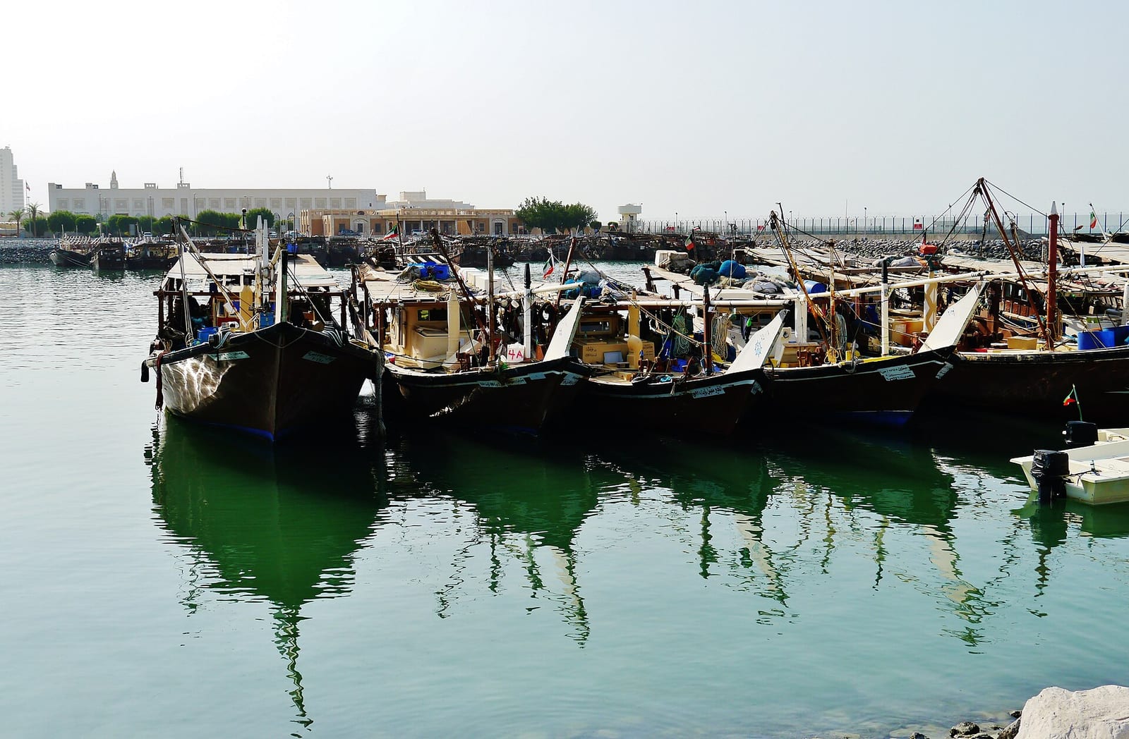 Wooden dhows moored in the Kuwait City dhow harbour with the modern skyline behind them, December 2022.