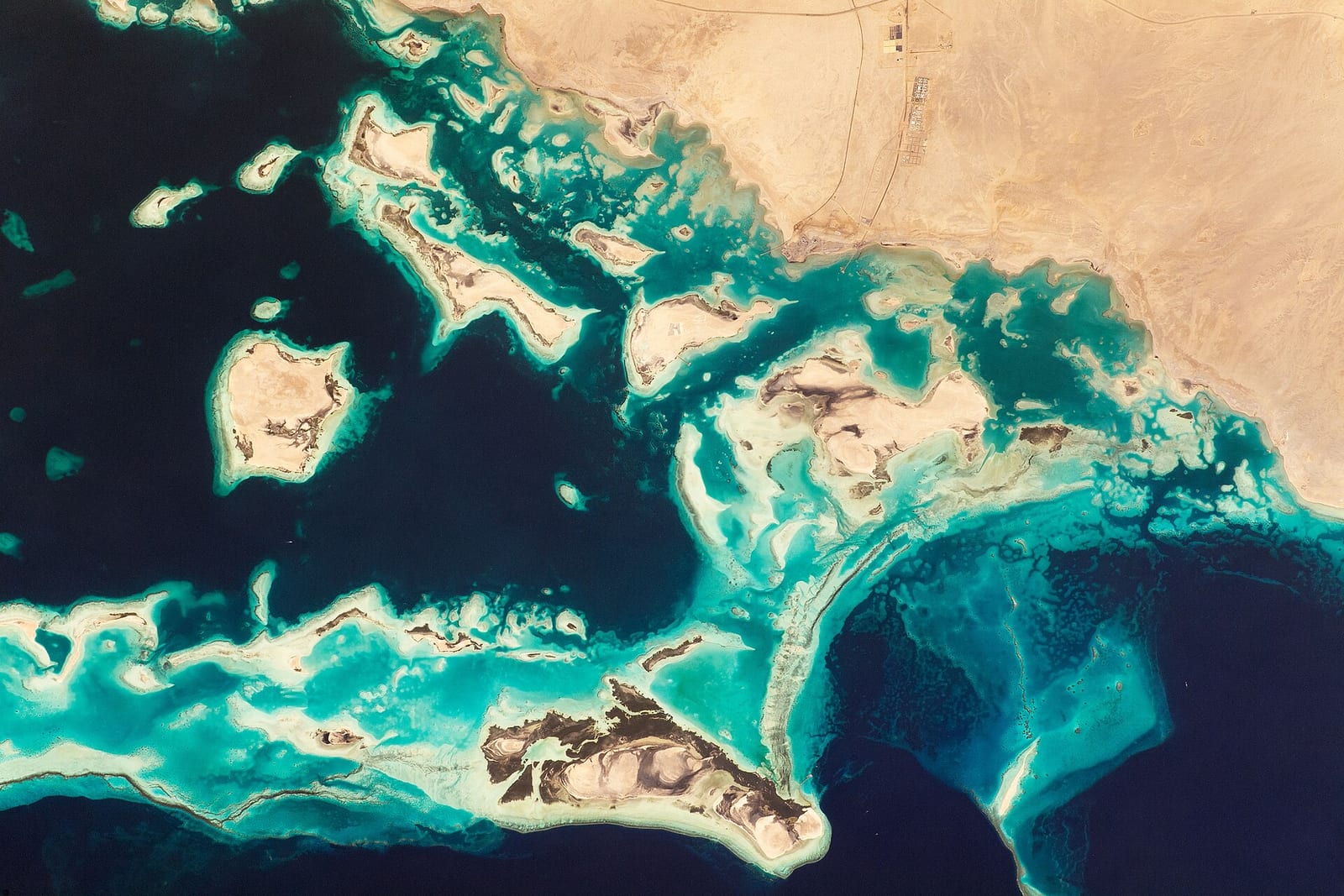 Astronaut photograph of Saudi Arabia's north-west Red Sea coast with turquoise coral reefs against tan desert, November 2020.