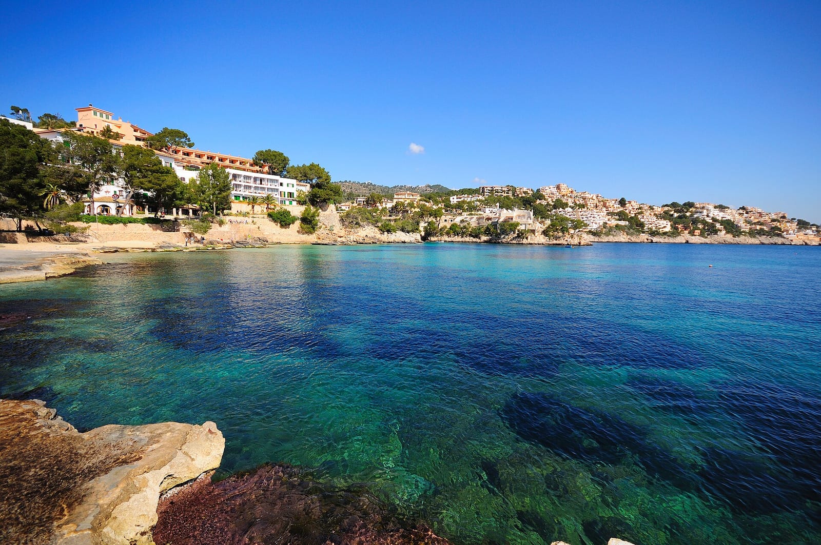 Cala Fornells in Calvià, Mallorca: pine-covered rocks around a turquoise cove with terraced villas on the slope.