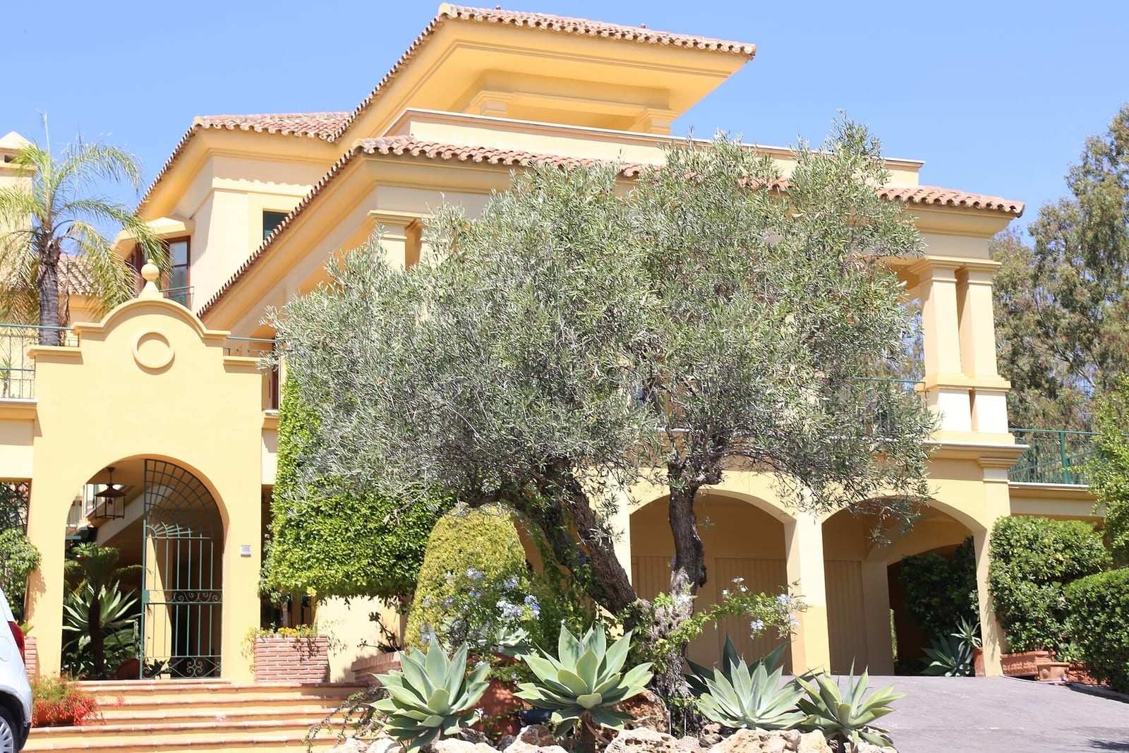 White contemporary villa in Marbella with a flat roof, full-height glazing and a terrace above a lawn and palms.