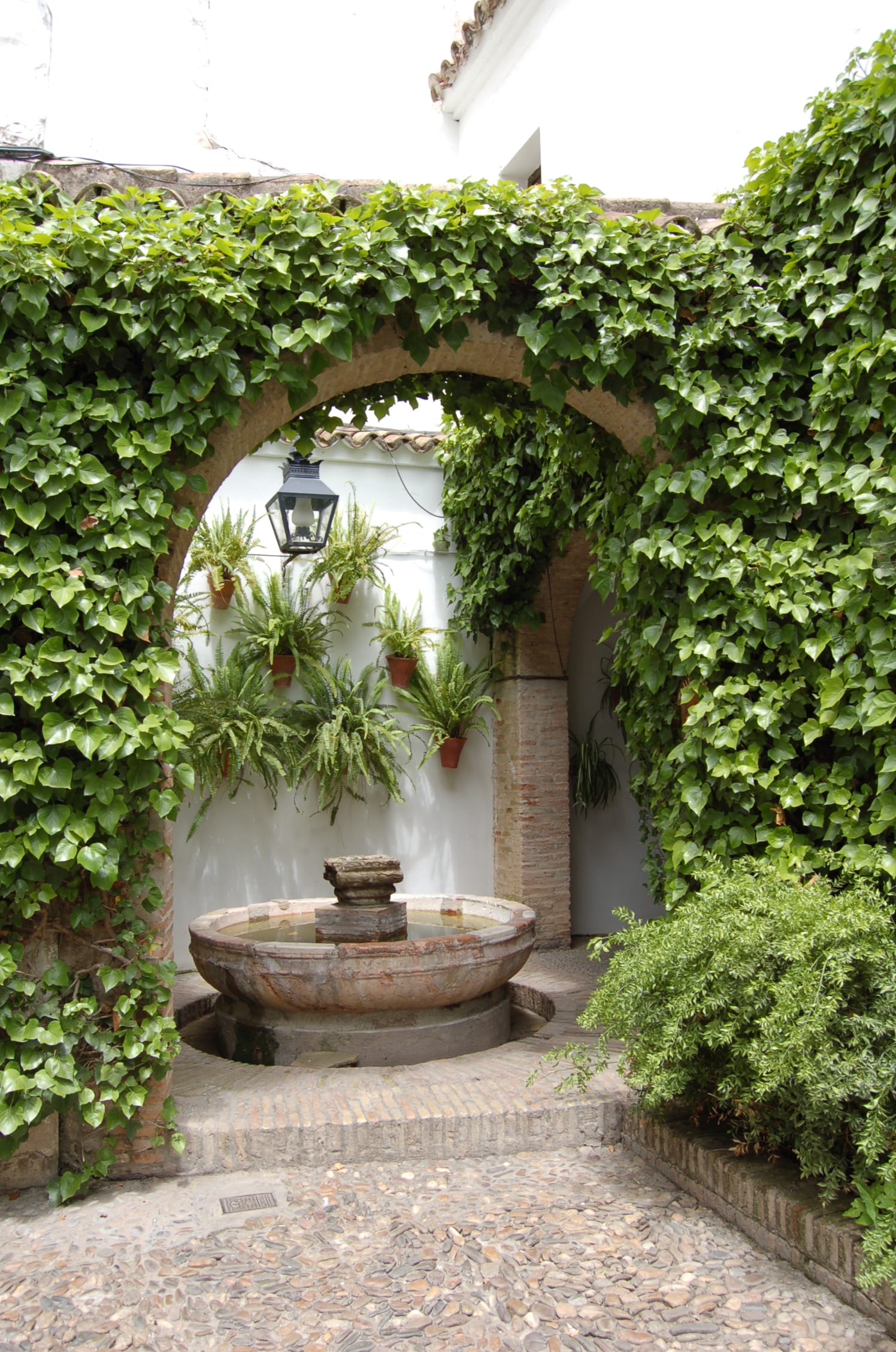 Whitewashed Córdoba patio with blue flower pots on the walls, a tiled floor and geraniums in full bloom.
