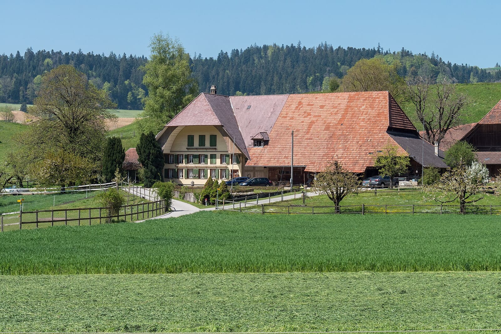 A large Emmental farmhouse with a deep hipped roof and timber façade above a green meadow in Lützelflüh, canton Bern.